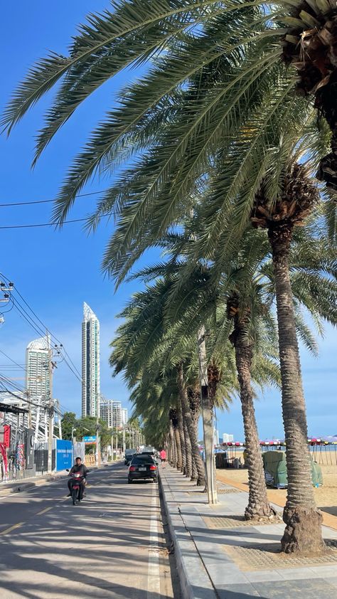 A sunny day in Thailand Jomtien Beach Thailand, Pattaya City, Beach Palm Trees, Aesthetic Places, Thailand Beaches, Pattaya Thailand, Pattaya, Beach Aesthetic, Sunny Day