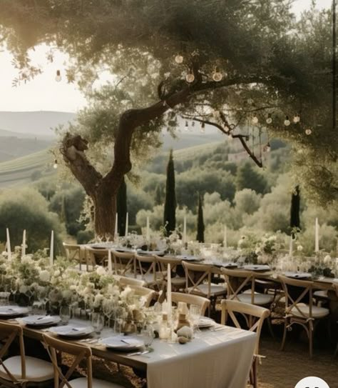 Tuscan Tablescape, Olive Branch Decor, Tuscan Wedding Theme, Tuscany Wedding Theme, Rustic Italian Wedding, Tuscan Inspired Wedding, Wedding Farmhouse, Sussex Wedding, Mediterranean Wedding