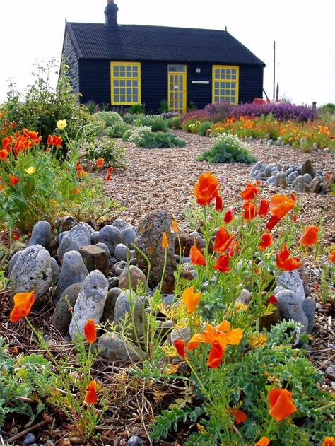 Small Cottage Garden Ideas, Seaside Garden, Gravel Garden, Coastal Gardens, Seaside Cottage, Most Beautiful Gardens, Casa Exterior, Backyard Inspiration, Beach Gardens