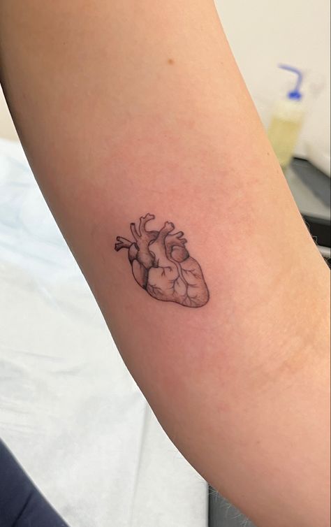 Black And White Anatomical Heart Tattoo, Cardiologist Tattoo, Cardiac Heart Tattoos, Rock Heart Tattoo, Melted Heart Tattoo, Biological Heart Tattoo, Atomically Correct Heart Tattoo, Heart To Heart Tattoo, Healthcare Worker Tattoo