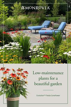 Look for the Monrovia green pot Florida Gardens, List Of Favorites, Flowering Perennials, Backyard Landscape, Vegetable Garden Design, Low Maintenance Plants, Lawn And Garden, Backyard Landscaping Designs, Dream Garden