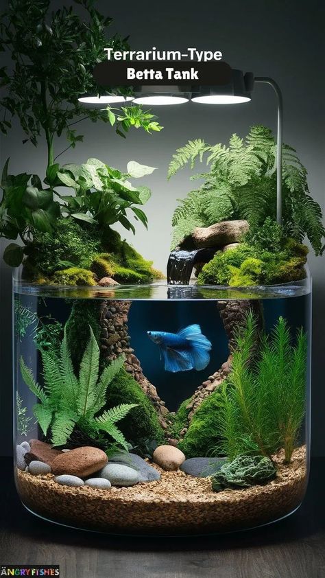 Betta Bowl Ideas, Beta Fish Aquascape, Beta Aquarium Ideas, Fish Tank Themes Ideas Creative, Unique Fish Tank Ideas, Tropical Fish Tank Ideas, 5 Gallon Fish Tank Ideas, Fish Tank Themes Creative, Natural Fish Tank Ideas