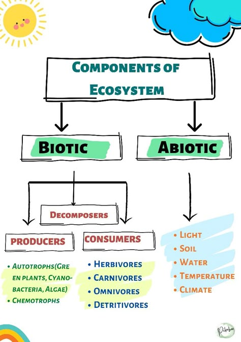 Living Environment Notes, Ecosystem Notes, Living Organisms Science, Biosphere Ecosystem, Ecosystem Poster, Teaching Ecosystems, Biotic And Abiotic Factors, Types Of Ecosystems, Ecosystem Project