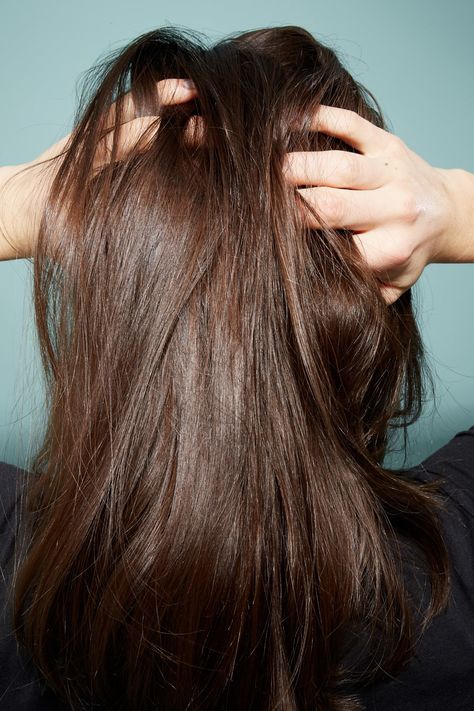 Itchy scalp: Causes and treatments Best Shampoo For Hair, Honey Health Benefits, Hair Shedding Remedies, Natural Hair Remedies, Herbs For Hair, Coconut Oil For Hair, Skincare Logo, Dry Itchy Scalp, Scalp Treatments