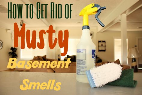 How to Get Rid of Musty Basement Smells Basement Odor Eliminator, Musty Smell In House, Basement Cleaning, Old House Smells, Basement Odor, Mold Smell, Smell Remover, Basement Window, Diy Cat Stuff