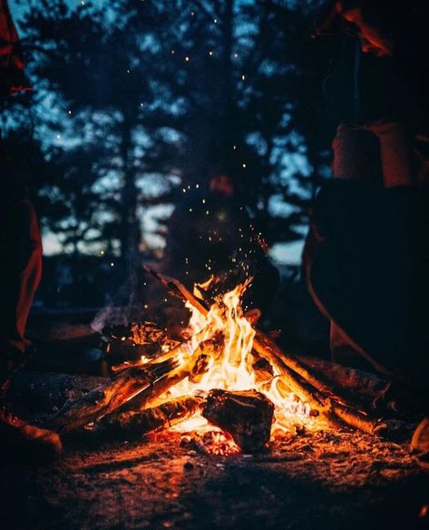 Great Lakes (@greatlakesco) • Instagram photos and videos Campfire Reference, Forest Campfire, Song Artwork, Life Is Difficult, Fox Pups, Students Life, Friends Night, Drama Ideas, Night Forest