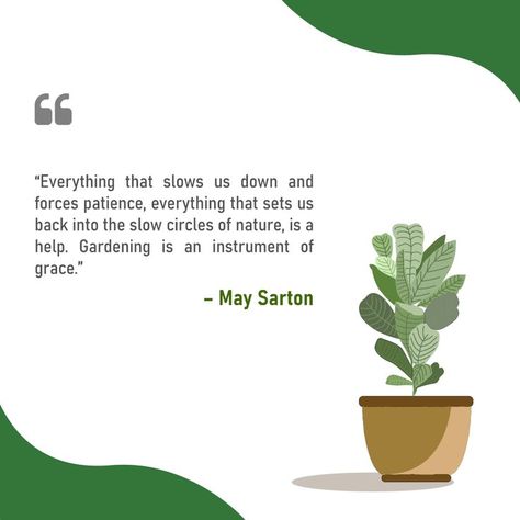 “Everything that slows us down and forces patience, everything that sets us back into the slow circles of nature, is a help. Gardening is an instrument of grace. ” May Sarton #paudhapur #gardening #gardeningquotes #maysarton #planters #plants May Sarton, Gardening Quotes, Patience Quotes, Garden Quotes, Wonderful Words, My Flower, Spiritual Quotes, Flower Garden, Circles