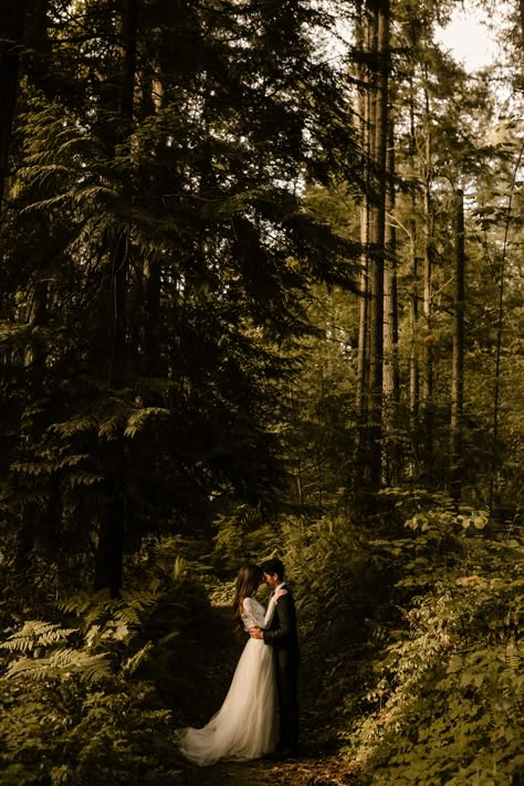 Pnw Forest, Moody Wedding Photography, 3rd Wedding Anniversary, Forest Elopement, Forest Theme Wedding, Washington Elopement, Moody Photography, Wedding Picture Poses, Dark Wedding