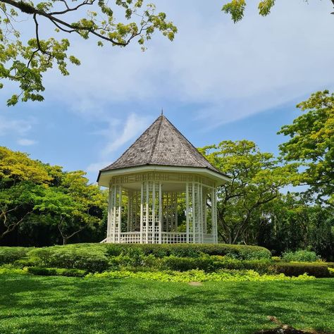 Singapore Botanic Gardens, Orchard Garden, Shopping District, Botanic Gardens, Botanic Garden, Tropical Garden, Types Of Plants, Unesco World Heritage Site, Unesco World Heritage