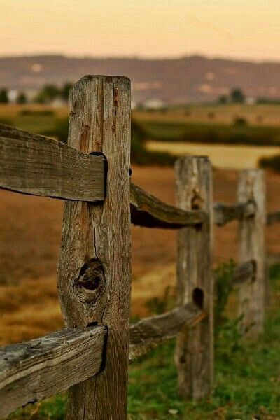 A wooden fence, a field, and a sunset. Rustic Fences, Farm Fences, Wooden Fences, Country Fences, Country Photography, Rustic Fence, Wood Fences, Gates And Fences, Farm Photography