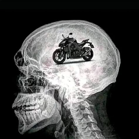 Rider's 🧠  📲 Follow @motosvibes for more updates ���🎬  #kawasaki #cbr #speed #reels #trending #motorcycle #bikes #vibes #riders  #brain #z1000official #kawaii #fyp  Credits @motosvibes Sport Bike Rider, Kawasaki Bikes, Z 1000, Biker Photoshoot, Cat Profile, Bike Aesthetic, Bike Jacket, Yamaha Bikes, Motorcycle Aesthetic