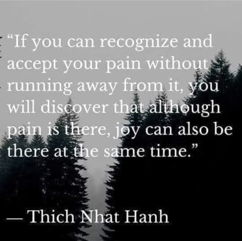 Thich Nhat Hanh Suffering, Thich Naht Hahn, Zen Buddhism Quotes, Thich Nhat Hanh Quotes Mindfulness, Thich Nhat Hanh Quotes, Art Of Letting Go, Quotes Mindfulness, Buddhist Wisdom, Zen Quotes