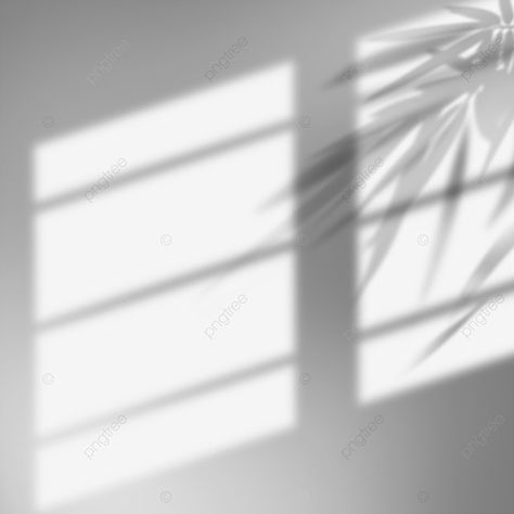 Sun Shadow Window, Light From Window, Shadow Window, Wall Png, Ipad Picture, Photo Studio Design, Sun Window, Painted Sun, Light And Shadow Photography