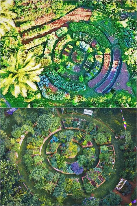 25 best vegetable garden design ideas & easy layout plans for beginners & pros to grow your own food in a front or backyard edible landscape. - A Piece of Rainbow, kitchen garden, vegetable gardening ideas, small space tips, grow your own food, herbs, homestead, homesteading, spring, summer, raised beds, trellis, greenhouse, DIY Food Forest Design, Kitchen Garden Plants, Vegetable Garden Design Ideas, Food Forest Garden, Garden Bed Layout, Edible Landscape, Backyard Garden Layout, Small Vegetable Gardens, Vegetable Garden Planning