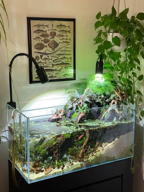 Cool Fish Tank Decorations, Anatomical Illustration, Axolotl Tank, Tank Terrarium, Fish Tank Themes, Fish Tank Terrarium, Cool Fish Tanks, Diy Fish Tank, Aquascape Design