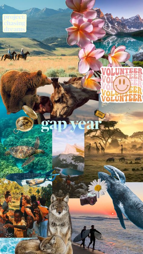 vision board for my gap year 2024/2025 Gap Year Aesthetic, Year Aesthetic, Making Dreams Come True, Gap Year Travel, After High School, Gap Year, Year 2024, Dreams Come True, Travel Inspo