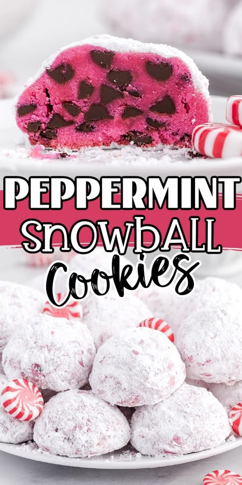 Snowball Cookies Recipe, Delicious Holiday Desserts, Snowball Cookie Recipe, Easy Christmas Cookies, Princess Pinky Girl, Mexican Wedding Cookies, Pinky Girl, Pink Cookies, Snowball Cookies