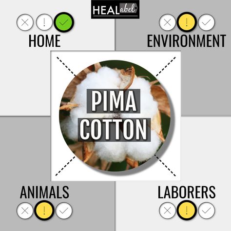 What is pima cotton? Is pima cotton vegan? Is #pimacotton sustainable? Find out details on fabrics, materials and textiles by clicking on the link to visit my HEALabel website dedicated Health (and Home), Environment, Animals, Laborers. Also check out lists like #veganfabrics #veganfashionbrands and more! Pima Cotton Fabric, Pima Cotton, Fabric Material, Sustainability, Cotton Fabric, Textiles, Fabric