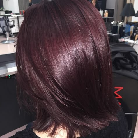 Copper Brunette, Pelo Color Vino, Schwarzkopf Hair Color, Wine Hair Color, Hair Color Mahogany, Mahogany Hair, Plum Hair, Wine Hair, Red Hair Inspo