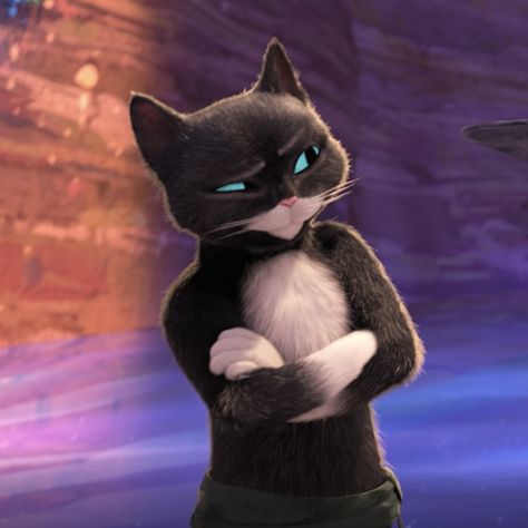 Black Tuxedo Cat, Kitty Softpaws, White Chest, The Last Wish, Trust Issues, Tuxedo Cat, Black Tuxedo, Bounty Hunter, Eyebrows