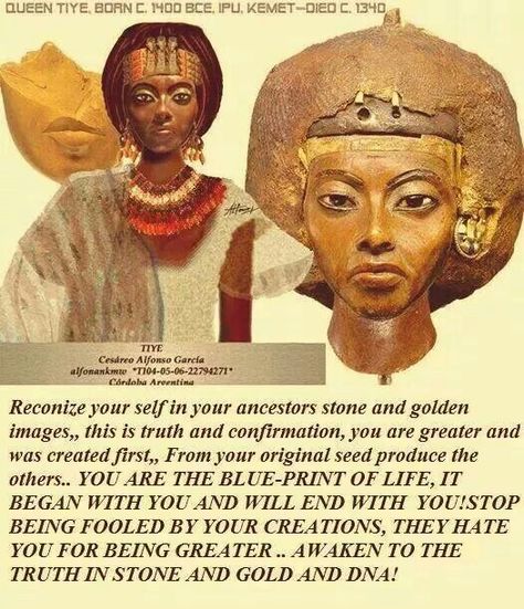 Beautiful and Powerful African Queen Tiye. Queen Tiye Ancient Egypt, Queen Tiye, Bible Contradictions, African History Truths, Aboriginal History, Ancient Kemet, The Bible Movie, African American History Facts, Black Fact