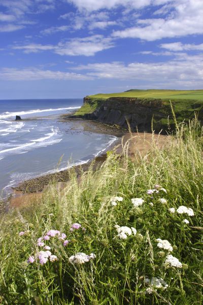 North York Moors National Park, Gallery Prints, North York Moors, Yorkshire England, Yorkshire Dales, Picture Art, England And Scotland, England Uk, English Countryside