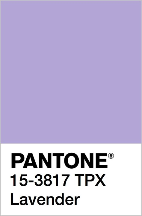 2022 Color Palette, Pantone Colour Palettes, Summer Color Palette, Color Trends Fashion, Deco Retro, Spring Summer 2022, Mood Board Design, Color Analysis, Trend Forecasting