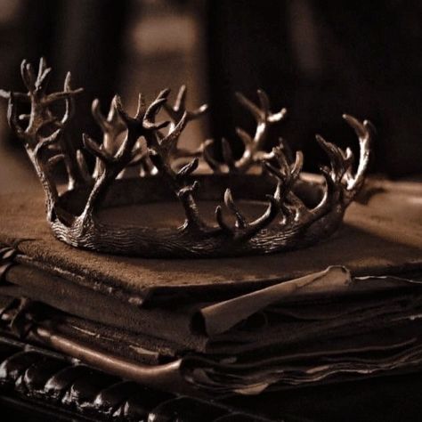 Baratheon Aesthetic, The Cruel Prince Aesthetic, Air Aesthetic, Prince Aesthetic, Era Victoria, Royalty Core, House Baratheon, Elf King, Cardan Greenbriar