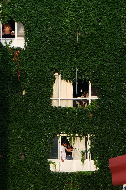 Turkey Istanbul, Ivy House Ivy House, Casa Exterior, The Window, Happy Places, Interior Architecture, Interior And Exterior, Ivy, Istanbul, Places To Go