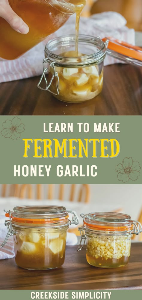 Garlic For Colds, Garlic And Honey Benefits, Fermented Honey Garlic, Fermented Garlic Honey, Garlic Remedies, Eating Raw Garlic, Honey Remedies, Fermented Vegetables Recipes, Fermented Garlic