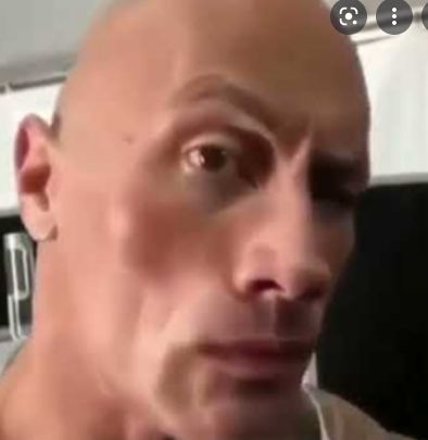 Dwayne Johnson Meme, Raised Eyebrow Emoji, The Rock Eyebrow, One Eyebrow Raised, Rock Meme, Why Are You Single, Disgusted Face, Raised Eyebrow, Rock Johnson