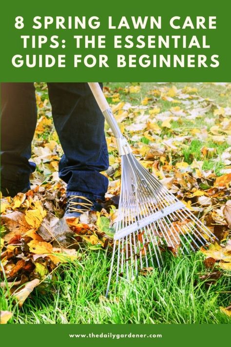 8 Spring Lawn Care Tips: The Essential Guide for Beginners Fall Lawn Care, Spring Lawn Care, Fall Lawn, Lawn Care Schedule, Fall Clean Up, Reading For Beginners, Types Of Grass, Aerate Lawn, Lawn Care Tips