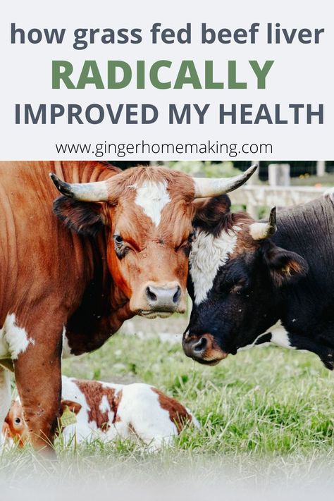 Learn How Grass Fed Beef Liver capsules completely transformed my health. I started taking Ancestral Beef Liver capsules when facing severe engery loss and fatigue in the second trimester. I wasn't anemic, but my ferritin levels were very low. Turns out that I needed more iron and micronutrients. In this article, I am sharing the details of WHY organ meats are essential, the benefits of eating them, and the best brand of grass fed beef liver capsules that I found. Mood and energy improved! Beef Liver Benefits, Beef Liver Capsules, Liver Capsules, Liver Nutrition, Liver Supplements, Pink River, Liver Recipes, Nourishing Traditions, Grass Fed Meat