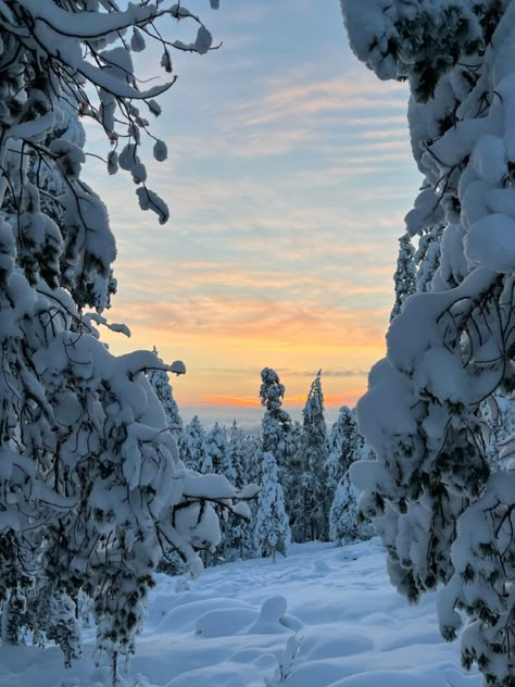 Finland Winter Aesthetic, Finland Aesthetic Winter, Rovaniemi Aesthetic, Lapland Finland Aesthetic, Lapland Rovaniemi, Finland Rovaniemi, Finland Aesthetic, Finland Winter, Rovaniemi Finland