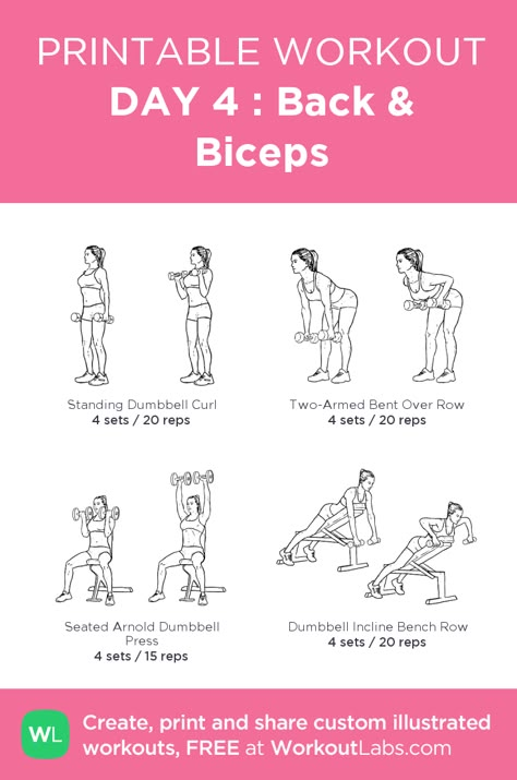 Lats And Biceps Workout, Biceps And Back Workout At Home, Back And Bicep Workout Dumbell Women, Back Day Workout At Home, Bis Workout, Arms And Back Workout, Bicep Workout Women, Bicep Workout Gym, Back And Biceps Workout