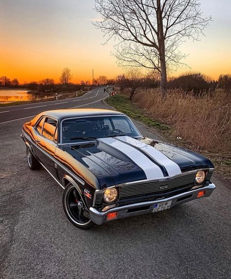 1974 Chevy Nova, 1970 Chevy Truck, 1970 Cars, 1970 Chevy Nova, 1970 Nova, Nova Car, Western Car, Classic Muscle Cars, 70s Cars