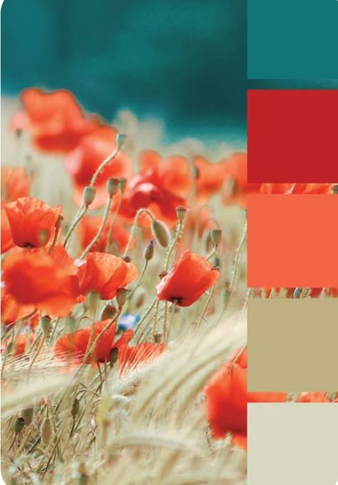 What Colors Are Trending Now, Teal And Red Color Palette, Coral Colour Palette, Teal Color Palette, Turquoise Color Palette, Red Colour Palette, Color Schemes Colour Palettes, Palette Design, Color Palate