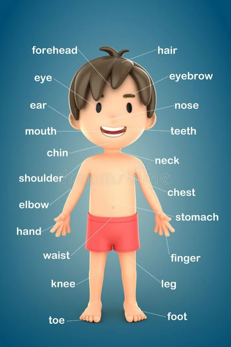 Parts of the body. 3d render of a boy showing parts of the body #Sponsored , #PAID, #Sponsored, #body, #parts, #render, #Parts Human Body Parts Drawing For Kids, Body Chart Drawing, Part Of The Body Activities, Parts Of The Body For Kids Worksheet, Parts Of Body Chart, Parts Of Body Drawing, Parts Of The Body Chart, Parts Of The Body For Kids Activities, Parts Of Body For Kids