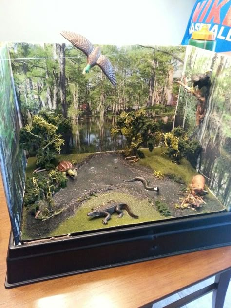 Swamp diorama Biome Project Ideas, Swamp Diorama, Wetland Biome, Wetland Ecosystem, Ecosystems Diorama, Biome Project, Elementary School Projects, Biomes Project, Swamp Theme