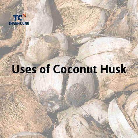 The Use of Coconut Husk - Don't Waste It! Open A Coconut, Coconut Leaves, Coconut Husk, Natural Mosquito Repellant, Mushroom Cultivation, Smaller Pores, Coconut Health Benefits, Coconut Bowl, Erosion Control