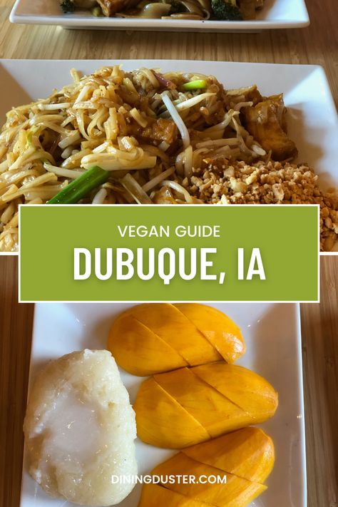 Dubuque, IA has delicious vegan food options. If you're on a Midwest Road Trip, perhaps driving on the Great River Road of the Mississippi, make sure to check out these great vegan options in Dubuque. Great River Road, Delicious Vegan Food, Midwest Road Trip, Chicken Of The Woods, Dubuque Iowa, Sweet Potato Pancakes, Vegan Guide, Great River, Veggie Bowl