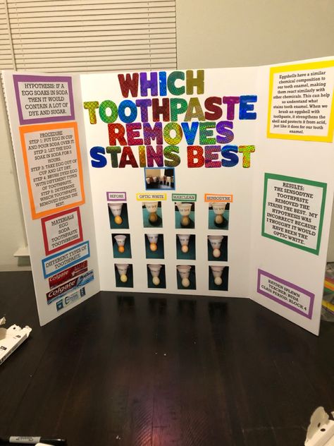 Science Fair Boards, Science Fair Topics, 6th Grade Science Projects, Winning Science Fair Projects, Middle School Science Fair Projects, High School Science Fair Projects, 4th Grade Science Projects, High School Science Fair, Science Project Board