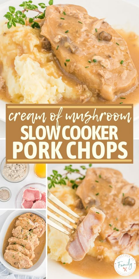 Creamy Mushroom Pork Chops Crock Pot, Pork Chop Recipes Mushroom Soup, Crock Pot Boneless Pork Chop Recipes, Pork Chops With Golden Mushroom Soup Crock Pot, Crock Pot Meals Pork Chops, Cream Of Mushroom Porkchop Recipe, Pork Chop With Mushroom Soup, Pork Chip Cream Of Mushroom, Cream Of Chicken Pork Chops Crockpot