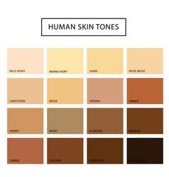 Skin tones color palette Royalty Free Vector Image Skin Tone Chart, Skin Palette, Spring Vector, Human Skin Color, Beige Skin, Summer Vector, Human Vector, Clear Spring, Skins Uk