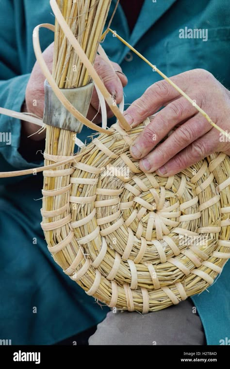 Download this stock image: Man / beekeeper making a traditional bee skep at at Dalyseford autumn show. England - H2TBAD from Alamy's library of millions of high resolution stock photos, illustrations and vectors. Bee Skeps, Pine Needle Crafts, Basket Weaving Diy, Basket Weaving Patterns, Bee Skep, Pine Needle Baskets, Diy Weaving, Diy Basket, Nature Crafts