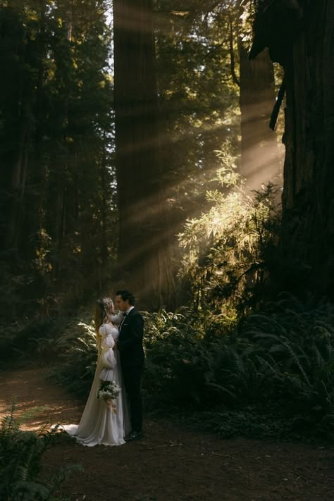 Micro Wedding Photos, Surprise Elopement, 2025 Photos, Photography Types, Elopement Oregon, Oregon Forest, Twilight Wedding, Cottagecore Wedding, Oregon Coast Elopement