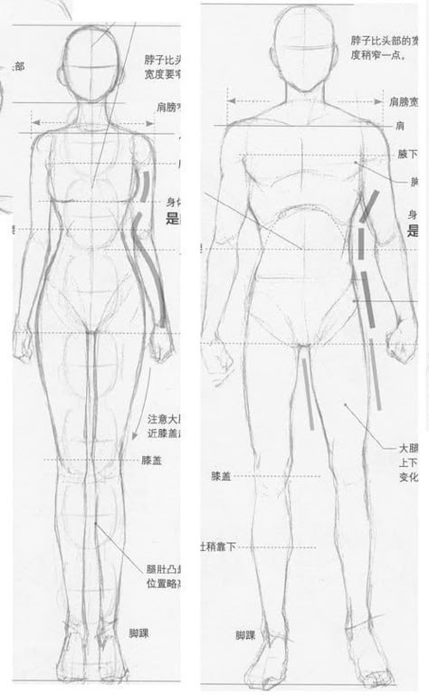 Male Body Anatomy Reference Drawing, Male Body Drawing Tutorial Anatomy, Drawing Tips On Paper, Basic Pose Reference Drawing, Art Reference Poses Drawing Basic, Male Body Tutorial Drawing, Blank Body Template, Female Body Anatomy Drawing, Male Body Proportions