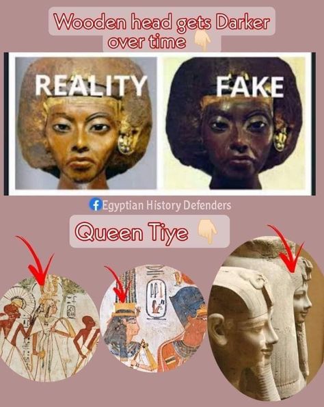 Ancient Egyptian Women, Queen Tiye, African History Facts, History Egypt, African History Truths, False Information, Modern Egypt, Ancient Africa, Connecting The Dots