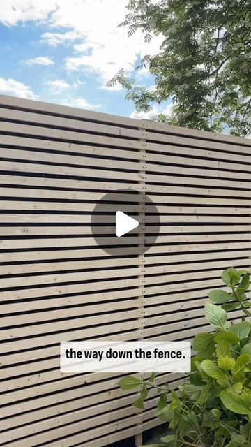 Garden Screen Ideas, Screen Fence Ideas, Fence Panels Ideas, Panel Fence, Privacy Screening, Fence Privacy, Garden Privacy Screen, Florida Garden, Garden Fences