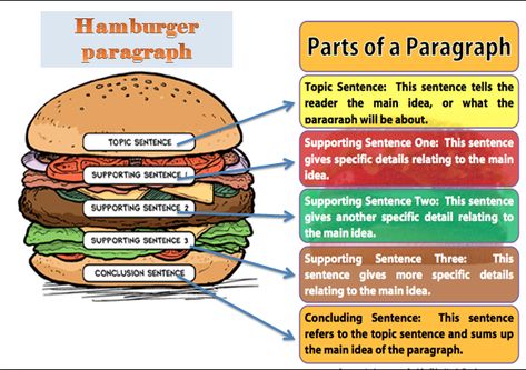 Hamburger Paragraph, Writing A Paragraph, 5th Grade Writing, Topic Sentences, Writing Anchor Charts, Best Essay Writing Service, Paragraph Essay, Scholarship Essay, Essay Writing Skills